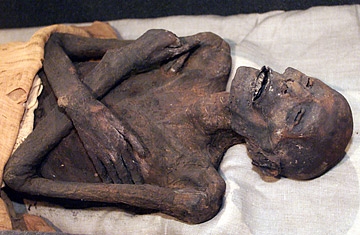 5. ˹ľ(Ramses Mummy)Ȼӵڶżֱвٵﶼ⵽ӶᣬΪ˰ò߾ȫȥһرߵЩﻹ밣ŴϵľļֵᲢۣԣ˶Ŭȥ׷شݵһ߼п˹(Ramses I)һľǵĲ²⣬1860ңľĹ˽˼ôݣӴ뿪˰